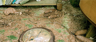 2006 Zimmerinstallation im Wald Teil 2